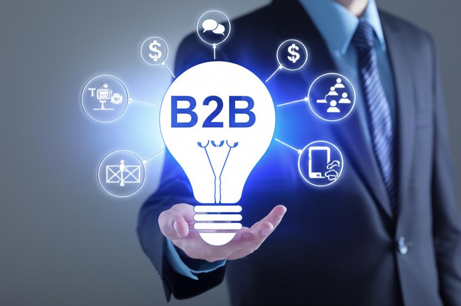 Hình ảnh Persona B2B