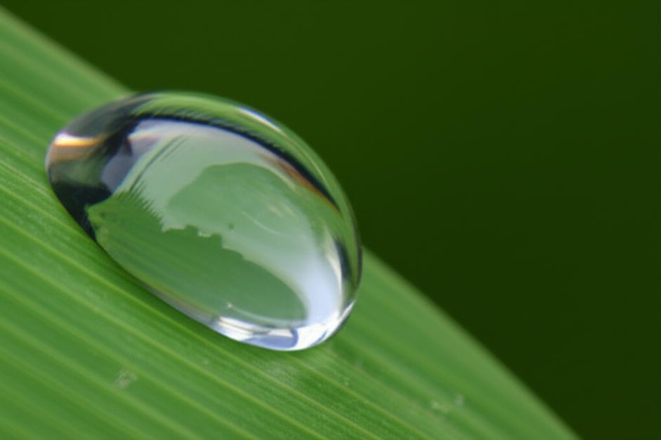 Bí quyết cắt giảm chi tiêu hiệu quả: Hướng dẫn chi tiết cho mọi gia đình 7 unnamed file 4