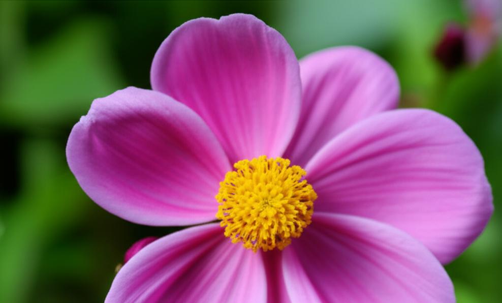 Nghệ Thuật Giải Quyết Xung Đột: Bí Quyết Xây Dựng Mối Quan Hệ Bền Vững 8 unnamed file 50