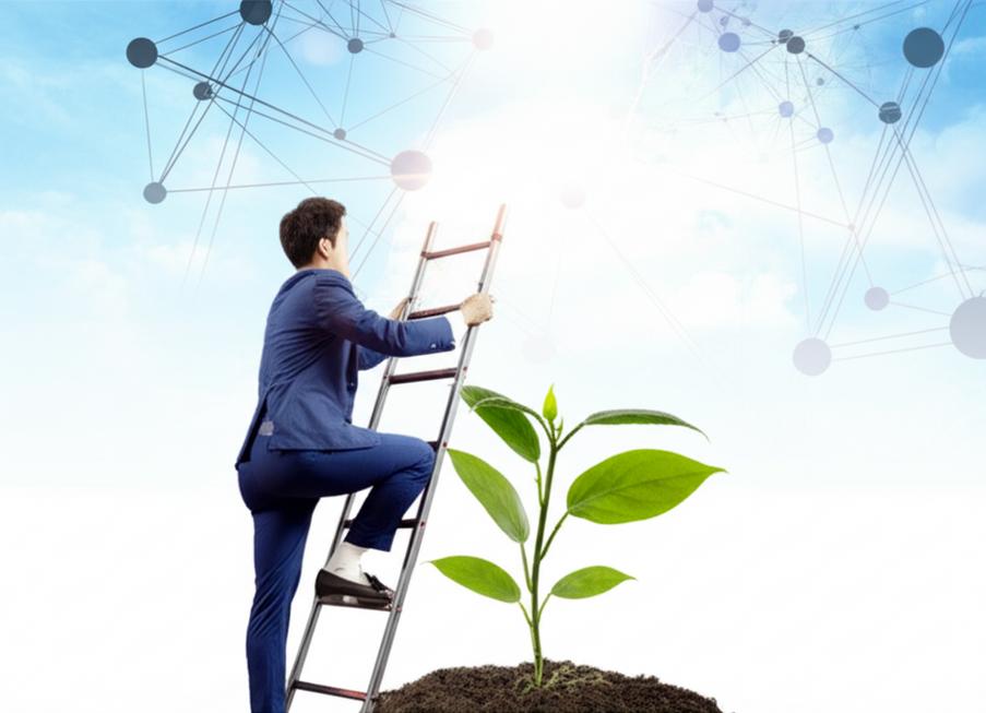 Con đường sự nghiệp tươi sáng, vươn tới thành công.